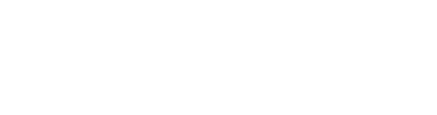 Local Media Solutions logo